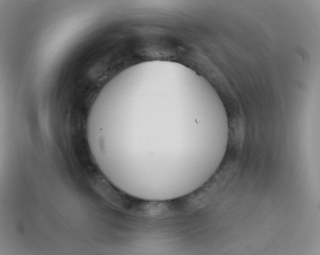 X0000114030762200910161820