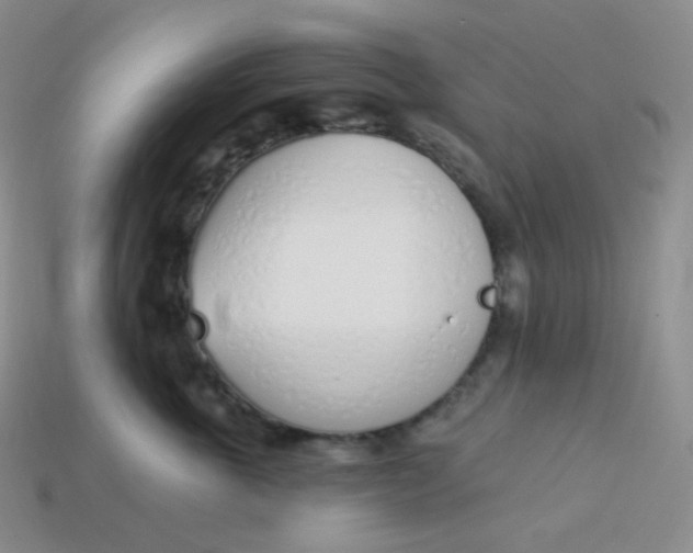 X0000114030763200910161820