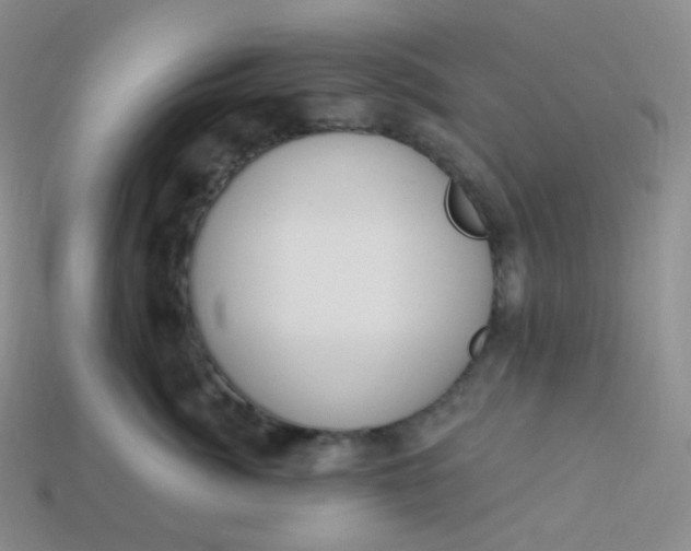 X0000114030764200910161820