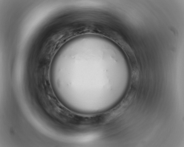 X0000114030765200910161820