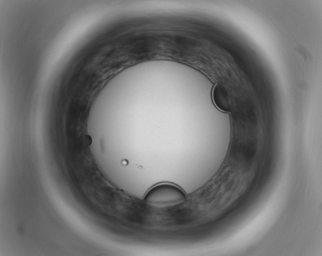 X0000114030766200910161820