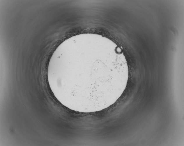 X0000114030769200910161819