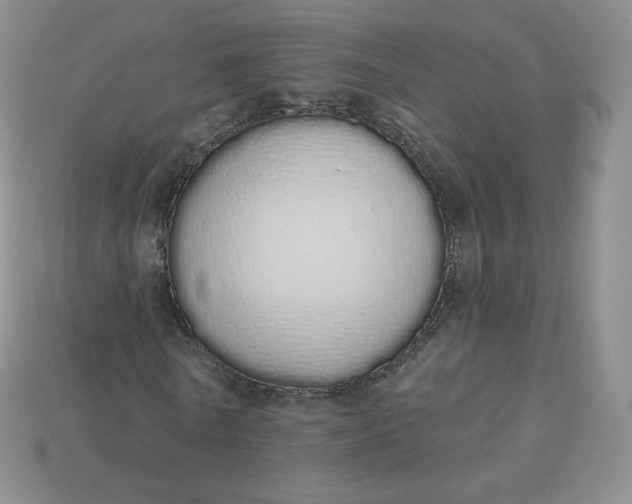 X0000114030770200910161819