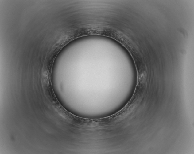 X0000114030772200910161819