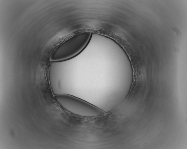 X0000114030773200910161819