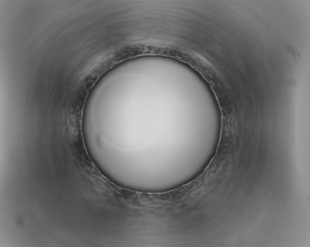 X0000114030774200910161819