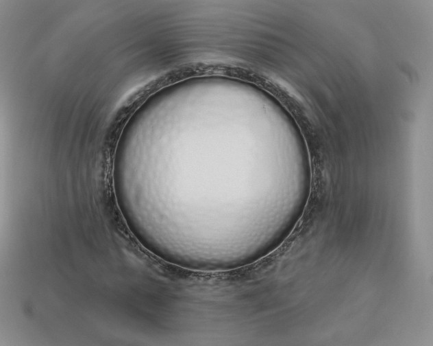 X0000114030775200910161819