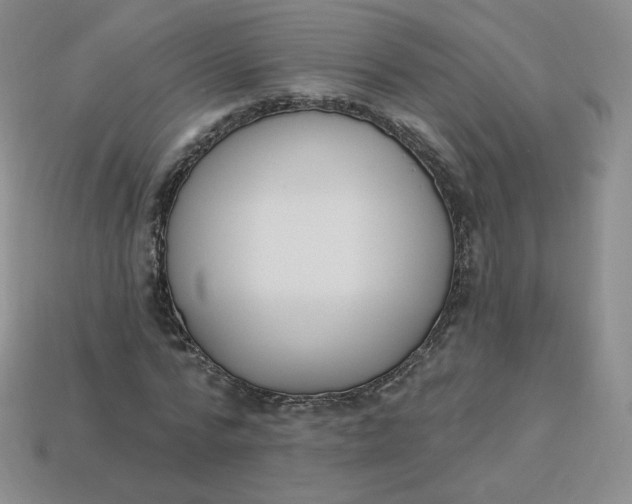 X0000114030776200910161819