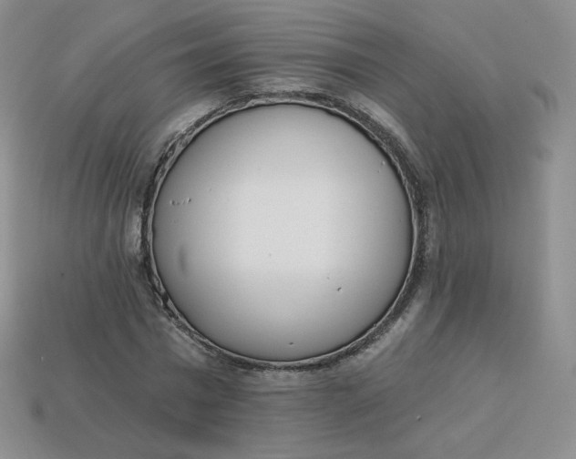 X0000114030777200910161819