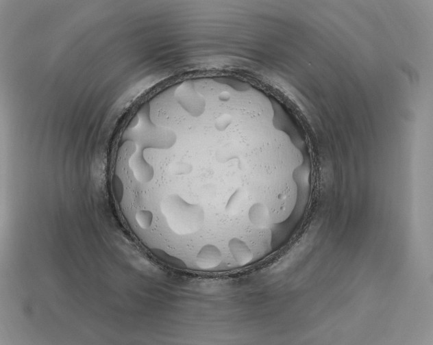 X0000114030778200910161819