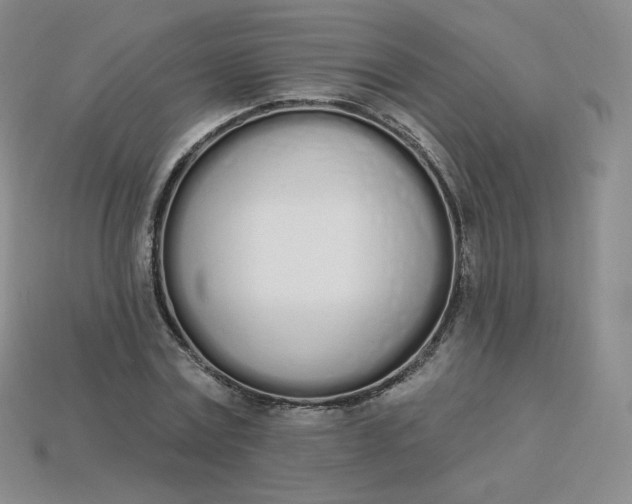 X0000114030779200910161819