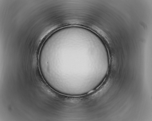 X0000114030782200910161819