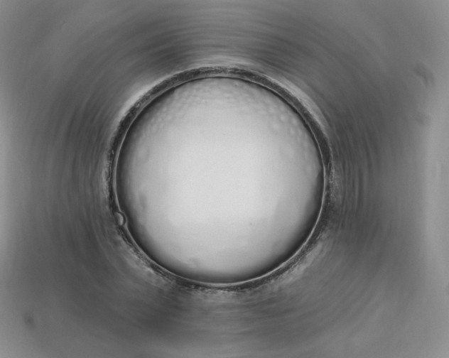 X0000114030783200910161819