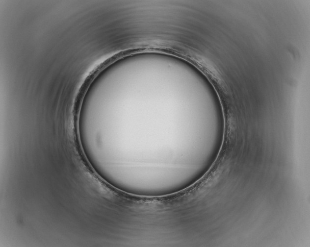 X0000114030784200910161819