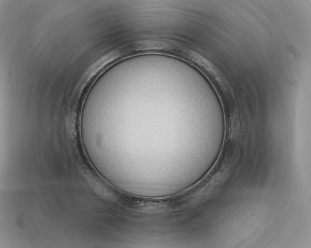 X0000114030786200910161819