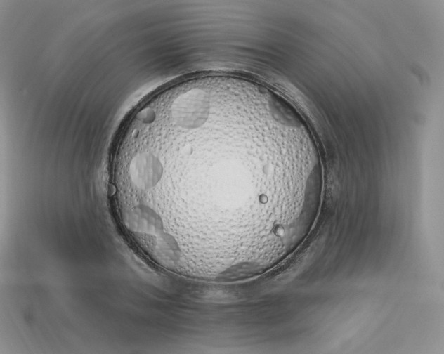 X0000114030787200910161819