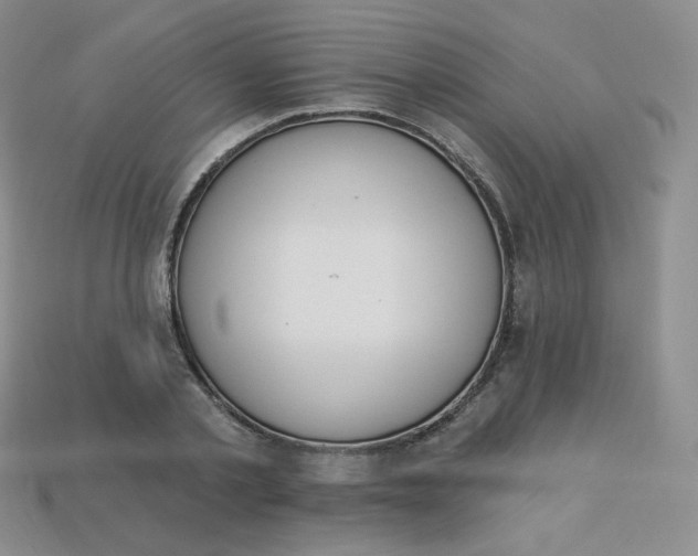 X0000114030789200910161819