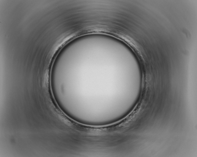 X0000114030790200910161819