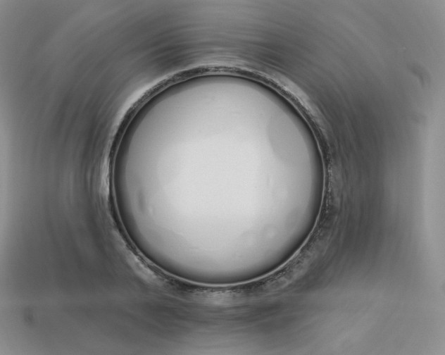 X0000114030791200910161819