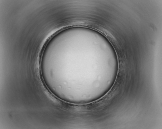 X0000114030792200910161819