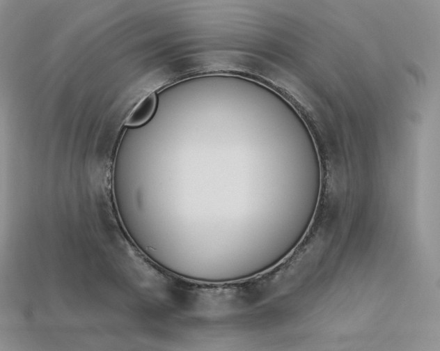 X0000114030793200910161819