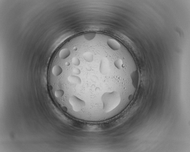 X0000114030794200910161819