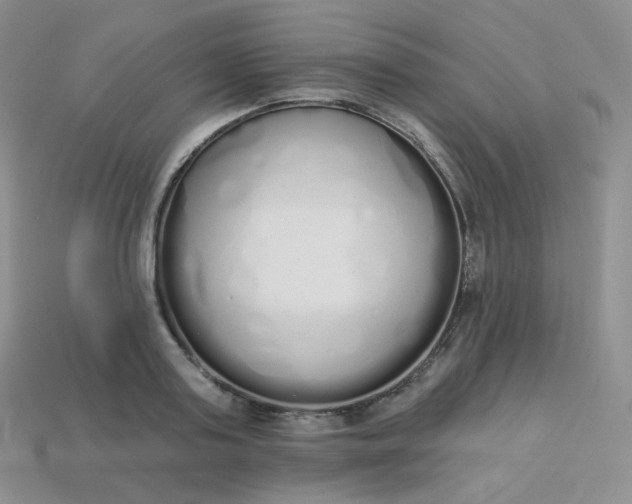 X0000114030795200910161819