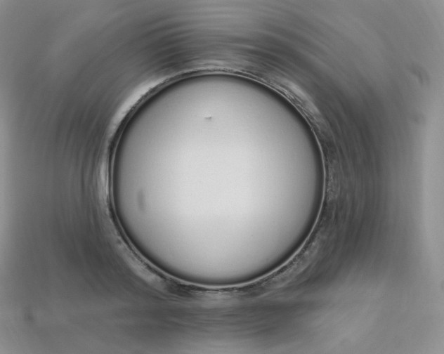 X0000114030796200910161819