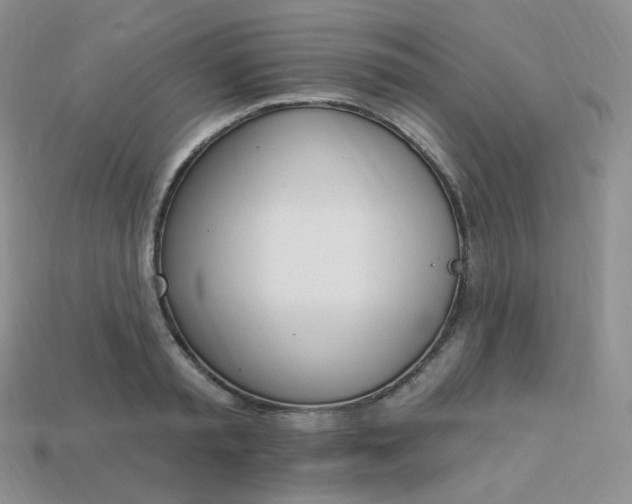 X0000114030797200910161819