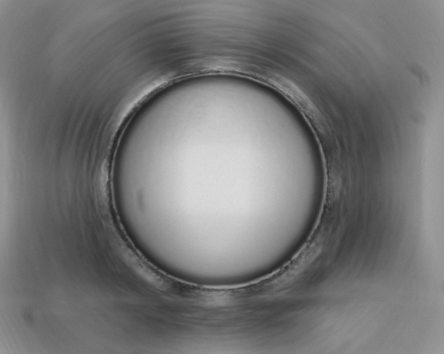 X0000114030798200910161819