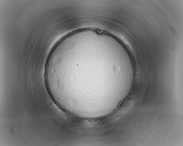 X0000114030799200910161818