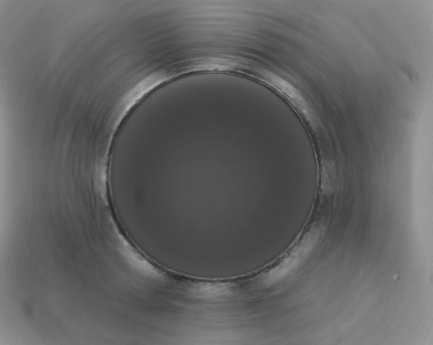 X0000114030802200910161818