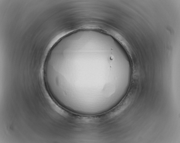 X0000114030803200910161818