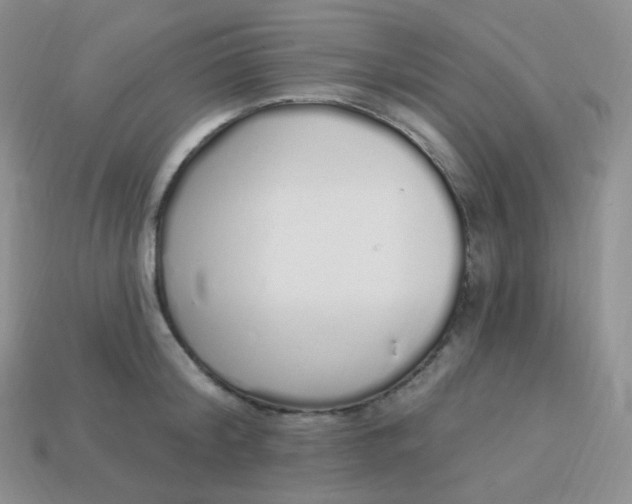 X0000114030804200910161818