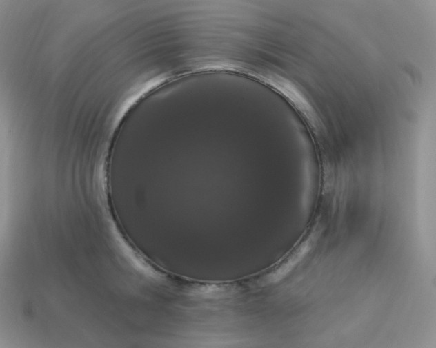 X0000114030806200910161818