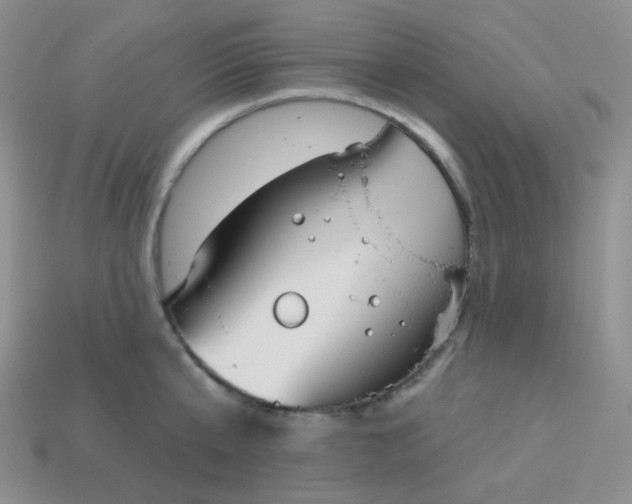 X0000114030807200910161818