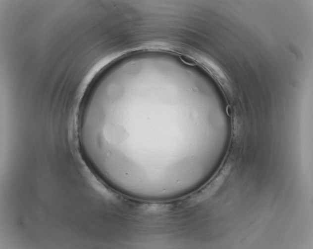 X0000114030808200910161818