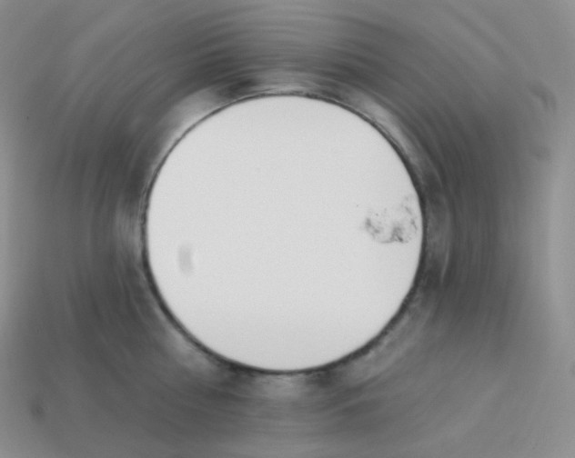 X0000114030810200910161818