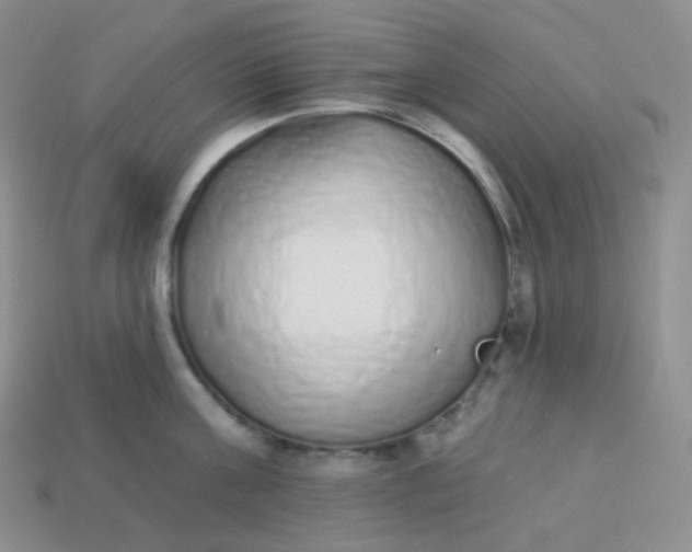 X0000114030811200910161818