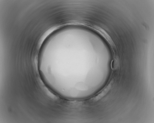 X0000114030812200910161818