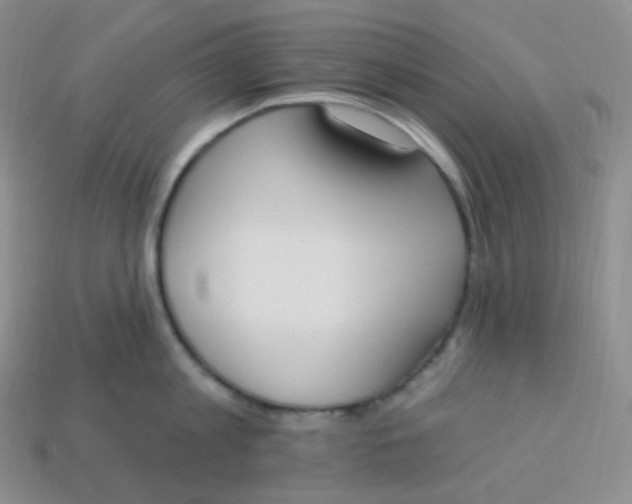 X0000114030813200910161818