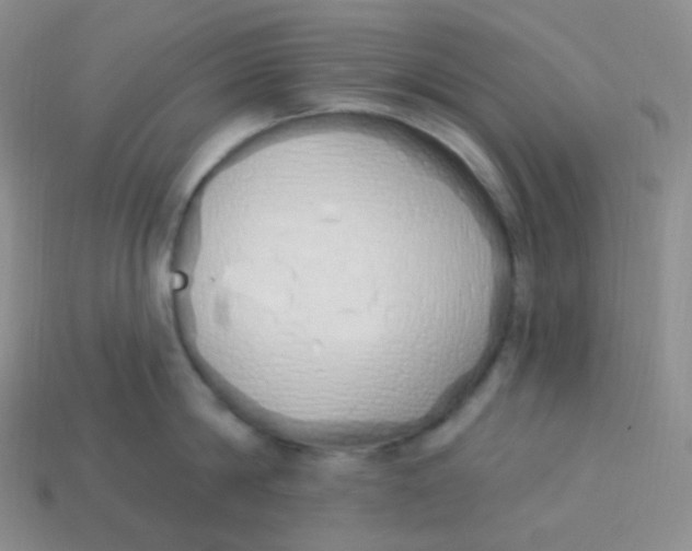 X0000114030814200910161818