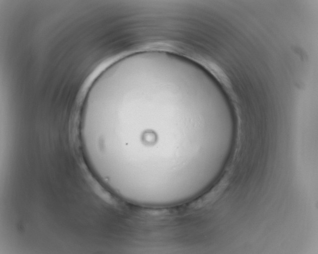 X0000114030816200910161818