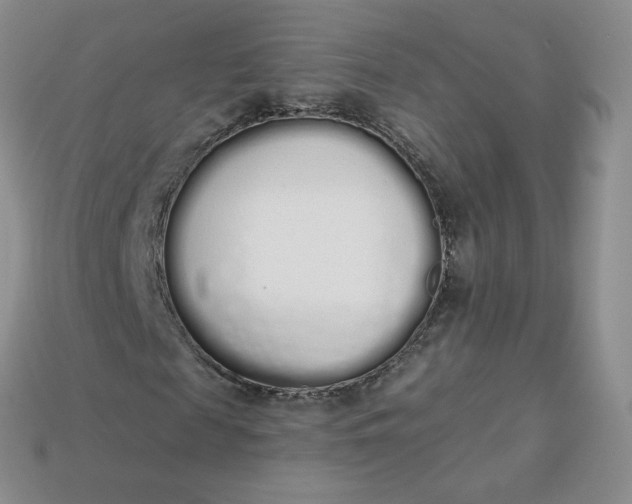 X0000114030817200910161818