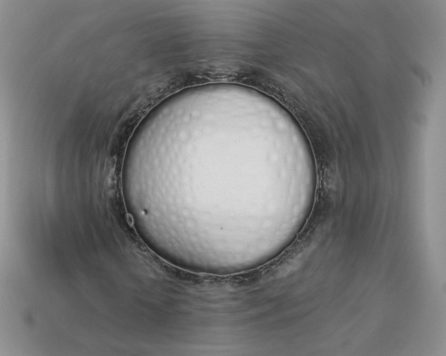 X0000114030818200910161818