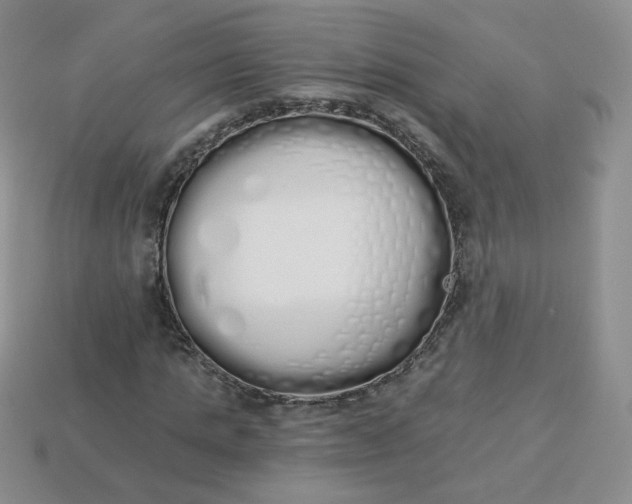 X0000114030821200910161818