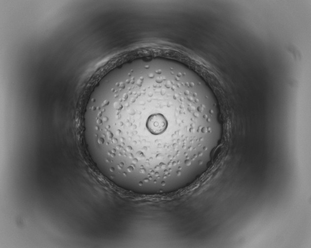 X0000114030822200910161818