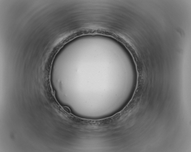 X0000114030823200910161818