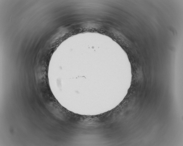 X0000114030824200910161818