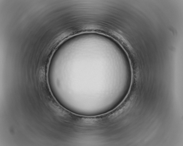 X0000114030825200910161818